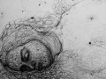 14.17_Laura
